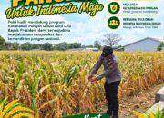 Polri Dukung Astacita, Polsek Merakurak Polresta Tuban Turun Cek Tanaman Jagung Warga di Desa Tuwiri Wetan