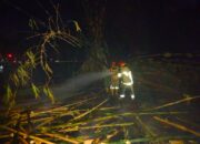 Babinsa Sesela dan Damkar Padamkan Kebakaran Lahan Bambu