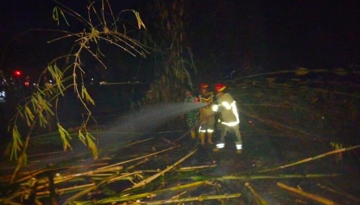 Babinsa Sesela dan Damkar Padamkan Kebakaran Lahan Bambu