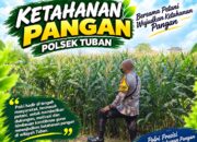 Bhabinkamtibmas Polsek Tuban Pantau Lahan Pertanian Jagung, Dukung Ketahanan Pangan Nasional