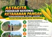 Dukung Astacita, Polsek Palang Polresta Tuban Pantau Langsung Lahan Jagung milik warga Desa Dawung