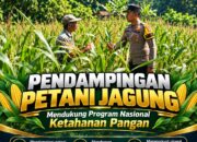 Polsek Parengan Polresta Tuban Pantau Lahan Jagung Warga Desa Pacing Dukung Program Astacita