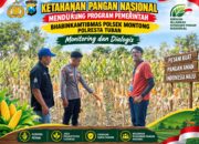 Mendukung Asta Cita Presiden bhabinkamtibmas Polsek Montong Polresta Tuban Pantau Kodisi Tanaman Jagung Milik Warga Desa pakel