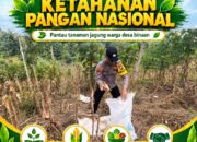 POLSEK BANGILAN DUKUNG KETAHANAN PANGAN NASIONAL MELALUI MONITORING DAN PENDAMPINGAN HASIL PANEN JAGUNG WARGA