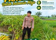 Anggota Polsek Singgahan Polresta Tuban Turun Cek Tanaman jagung Warga di Desa Tingkis