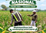Polsek Soko Polresta Tuban Turun Langsung Cek Tanaman Jagung Warga