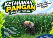 Polsek Tuban Dukung Ketahanan Pangan Nasional Melalui Pemantauan Lahan Jagung