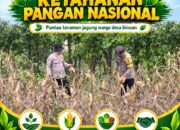 Polsek Bangilan Polresta Tuban laksanakan Monitoring Ketahanan pangan
