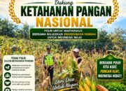 Tuban – Polsek Rengel Polresta Tuban menyatakan komitmen penuh dalam mendukung program ketahanan pangan nasional melalui pemanfaatan lahan produktif dan pendampingan langsung kepada masyarakat petani.