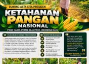 Polsek Plumpang Polresta Tuban Turun Langsung Cek Tanaman Jagung Warga