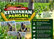 Polsek Parengan Polresta Tuban Pantau Lahan Jagung Warga Desa Pacing Dukung Program Astacita
