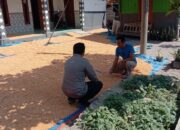 ANGGOTA POLSEK GRABAGAN SAMBANG DESA BINAAN, PANTAU LAHAN JAGUNG DAN MEMASTIKAN SISTEM IRIGASI MASIH LANCAR