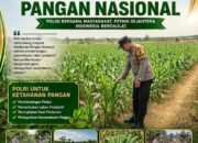 PANTAU LAHAN JAGUNG DI DESA BINAAN, POLSEK KEREK POLRESTA TUBAN DUKUNG KETAHANAN PANGAN NASIONAL