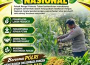 Dukung Ketahanan Pangan Nasional, Bripda Dodi Eko Lakukan Pendampingan Panen Jagung Warga di Desa Sukoharjo