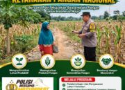 POLMAS DESA MARGOREJO PANTAU PERTUMBUHAN JAGUNG DI DESA BINAAN