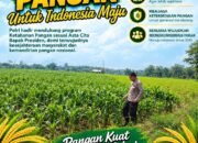 Polri Dukung Astacita, Polsek Merakurak Polresta Tuban Turun Cek Tanaman Jagung Warga di Desa Tuwiri Wetan