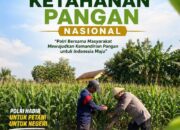 Polsek Soko Polresta Tuban Turun Langsung Cek Tanaman Jagung Warga