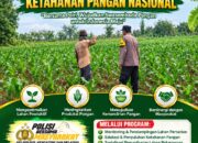 POLSEK KEREK DAMPINGI PETANI, WUJUDKAN KETAHANAN PANGAN NASIONAL
