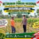 Mendukung Asta Cita Presiden bhabinkamtibmas Polsek Montong Polresta Tuban Pantau Kodisi Tanaman Jagung Milik Warga Desa pakel