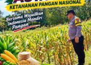 Mendukung Asta Cita Presiden bhabinkamtibmas Polsek Montong Polresta Tuban Pantau Kodisi Tanaman Jagung Milik Warga Desa pakel
