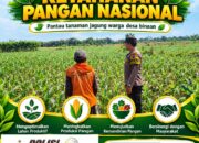 “PANTAU PERTUMBUHAN JAGUNG PETANI, ANGGOTA POLSEK KEREK DUKUNG PROGRAM KETAHANAN PANGAN”