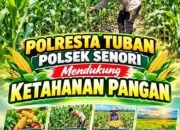 Bhabinkamtibmas Polsek Senori Polresta Tuban Pantau Tanaman Jagung Warga Desa Sendang Guna Dukung Ketahanan Pangan Nasional