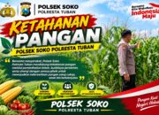 Polsek Soko Polresta Tuban Turun Langsung Cek Tanaman Jagung Warga