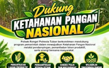 Polri Dukung Astacita, Polsek Rengel Polresta Tuban Turun Cek Tanaman Jagung Warga di Desa Pekuwon