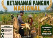Dukung Astacita Presiden, Polsek Kenduruan Polresta Tuban Turun Langsung Bantu Petani Panen Jagung di Desa Jamprong