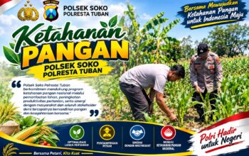 Polsek Soko Polresta Tuban Turun Langsung Cek Tanaman Jagung Warga