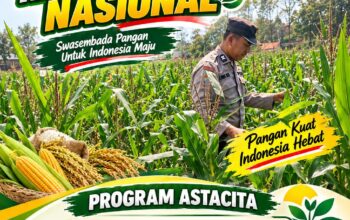 Kawal Swasembada Pangan, Polsek Jatirogo Pantau Langsung Tanaman Jagung di Paseyan